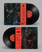 Load image into Gallery viewer, Why Look Up, God's In The Mirror (LP)