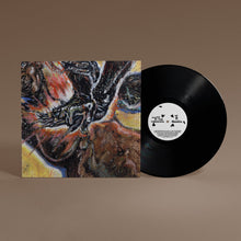 Load image into Gallery viewer, Faith in The Unknown (LP)