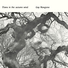 Load image into Gallery viewer, Diana in The Autumn Wind (LP)