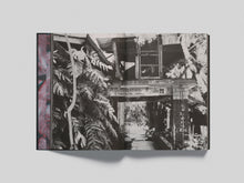 Load image into Gallery viewer, Black Ark