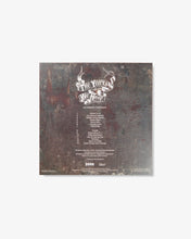 Load image into Gallery viewer, The Years We Have (LP)