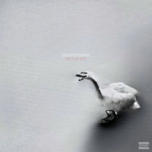 Load image into Gallery viewer, Nature Boy (White LP)
