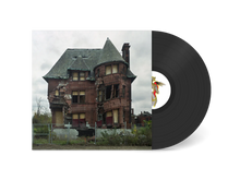 Load image into Gallery viewer, Hiding Places (LP)