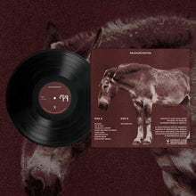 Load image into Gallery viewer, Patient Man Rides The Donkey (LP)