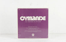 Load image into Gallery viewer, Fug / Brothers On The Slide (7")