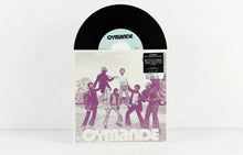 Load image into Gallery viewer, Fug / Brothers On The Slide (7")