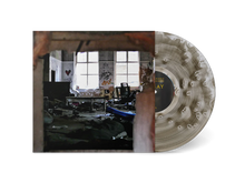 Load image into Gallery viewer, Decay (LP)