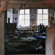 Load image into Gallery viewer, Decay (LP)