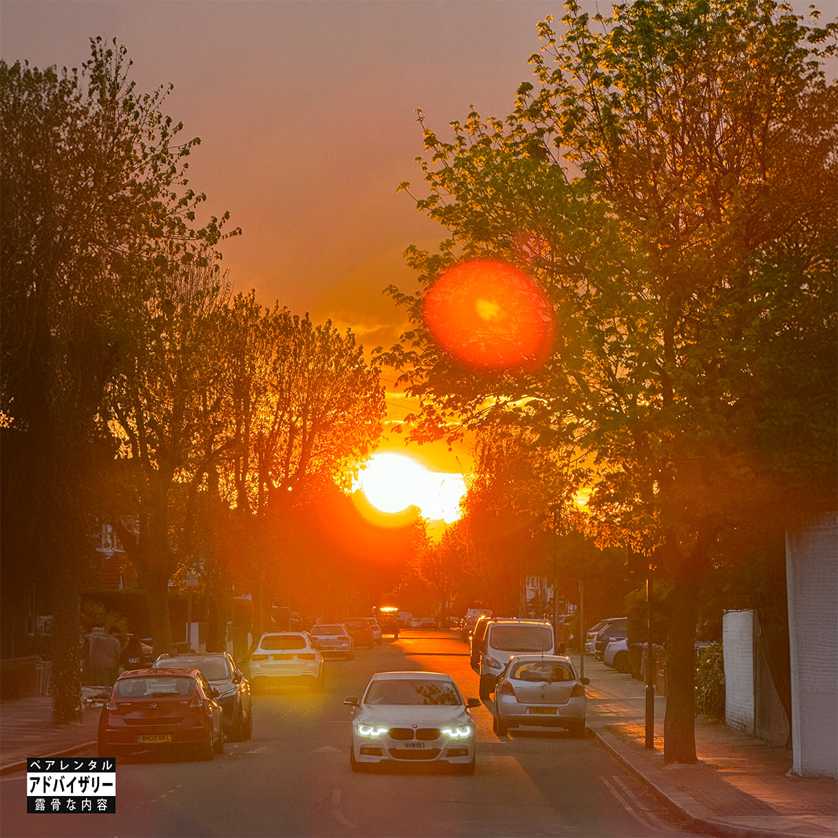 No Vi$ible Means of Income 3 (LP) – RRC MUSIC CO.