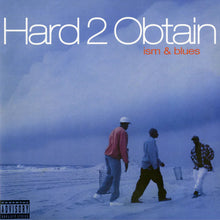 Load image into Gallery viewer, Ism & Blues (2LP)