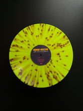 Load image into Gallery viewer, The Personal Album (LP)