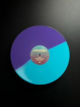 Load image into Gallery viewer, Hare Brained Schemes (LP)