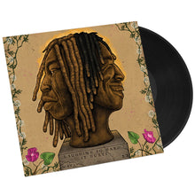 Load image into Gallery viewer, Laughing So Hard, It Hurts (LP)