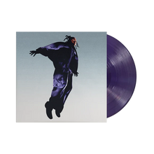 Load image into Gallery viewer, The Pilot (LP)