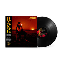 Load image into Gallery viewer, Believe And Never Grieve (LP - Black Vinyl)