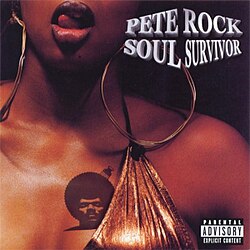Pete Rock Soul Survivor 2枚組レコード　hip hop Soul Survivor (2LP) – RRC MUSIC CO.