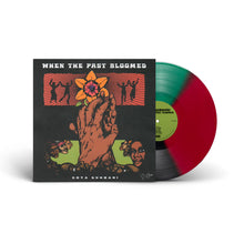 Load image into Gallery viewer, When The Past Bloomed (LP)