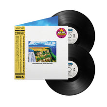 Load image into Gallery viewer, Temple Needs Water. Village Needs Peace. (2LP)