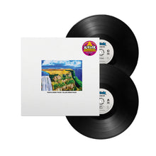 Load image into Gallery viewer, Temple Needs Water. Village Needs Peace. (2LP)