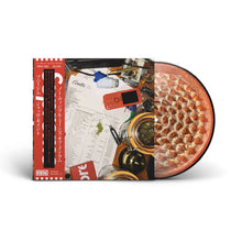 Load image into Gallery viewer, No Vi$ible Means Of Income (LP)