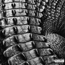 Load image into Gallery viewer, Training Day (LP)