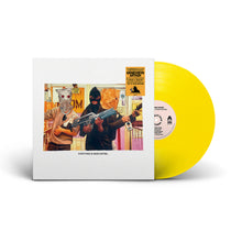 Load image into Gallery viewer, Everything Is Under Control. (LP)