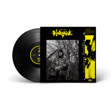Load image into Gallery viewer, Hakanai (LP - Black w/ OBI)