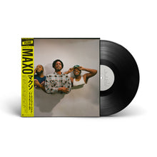 Load image into Gallery viewer, Even God Has A Sense of Humor (LP)