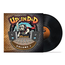 Load image into Gallery viewer, Up in D&D (LP)