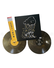 Load image into Gallery viewer, Lead Poison: 10th Anniversary - RSD 2026 (2LP)