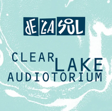 Load image into Gallery viewer, Clear Lake Audiotorium (LP)