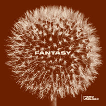 Load image into Gallery viewer, Fantasy (LP)