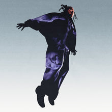 Load image into Gallery viewer, The Pilot (LP)