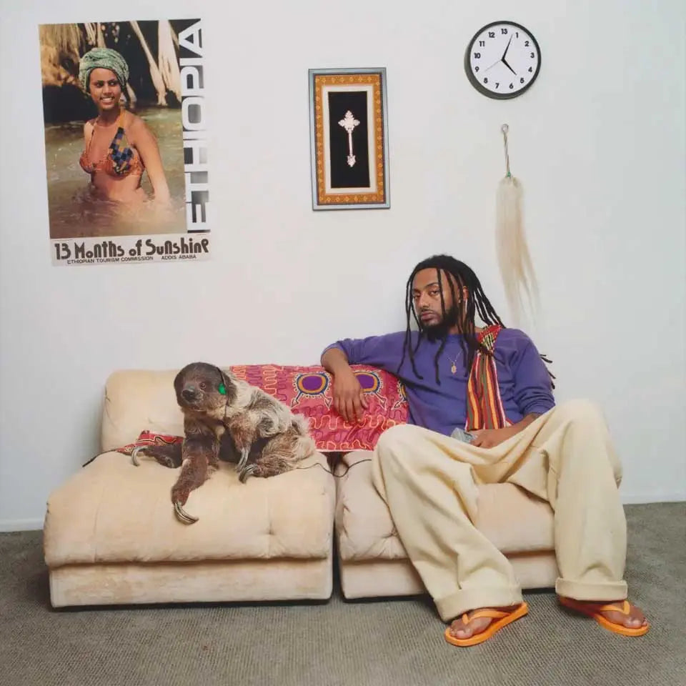 Amine 13 Months Of Sunshine LP 未開封 13 Months of Sunshine Vinyl (Tri-Color Disc) – Amine
