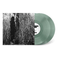 Load image into Gallery viewer, Today, I Wrote Nothing (2LP)