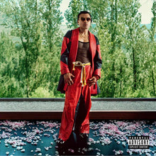 Load image into Gallery viewer, Goodbye, Sticky Rice (LP)