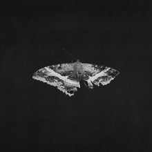 Load image into Gallery viewer, To Pimp A Butterfly (10th Anniversary Edition)