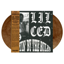 Load image into Gallery viewer, Playin' By The Rules (2LP)