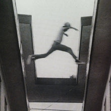 Load image into Gallery viewer, The Ecstatic