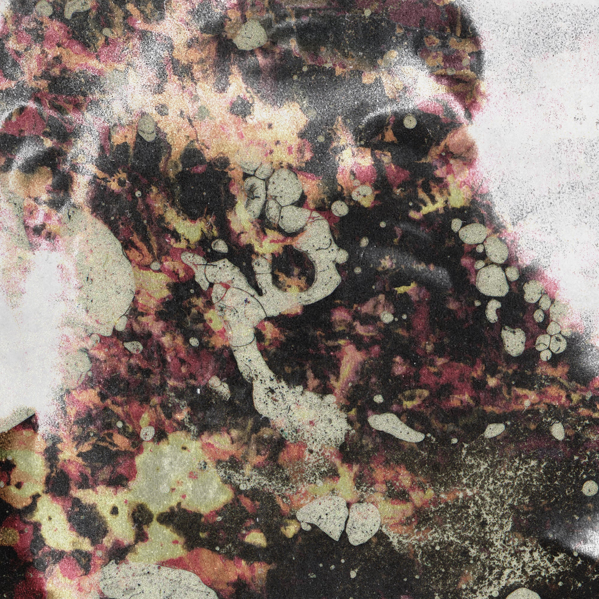 激レア！ V DON & DARK LO Charie Pope LP Charlie Pope (LP) – RRC MUSIC CO.