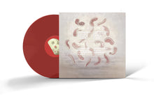 Load image into Gallery viewer, Skelethon (2LP)