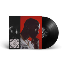 Load image into Gallery viewer, Chaos Is My Ladder