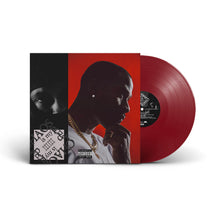 Load image into Gallery viewer, Chaos Is My Ladder