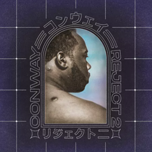 Load image into Gallery viewer, Reject 2 (LP)