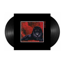 Load image into Gallery viewer, Pain & Glory (2LP)