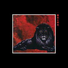 Load image into Gallery viewer, Pain & Glory (2LP)
