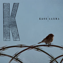 Load image into Gallery viewer, kARMA (2LP)