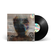 Load image into Gallery viewer, The Hidden Painting (LP)