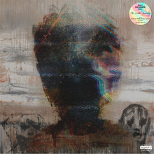 Load image into Gallery viewer, The Hidden Painting (LP)
