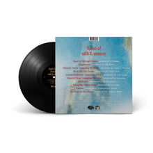 Load image into Gallery viewer, Land of Silk & Money (LP)